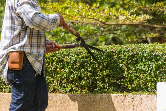 Garden Maintenance Manor Park, E12